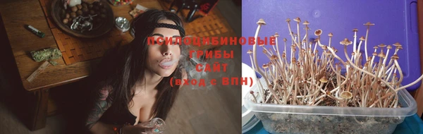 mdpv Белокуриха