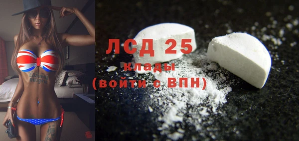 дживик Богородск