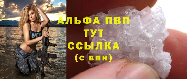 дживик Богородск