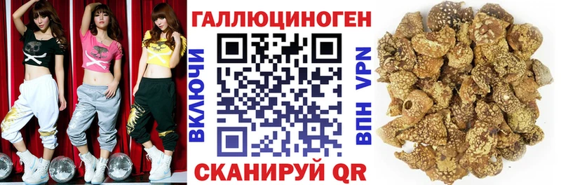 Галлюциногенные грибы мицелий  Мончегорск 